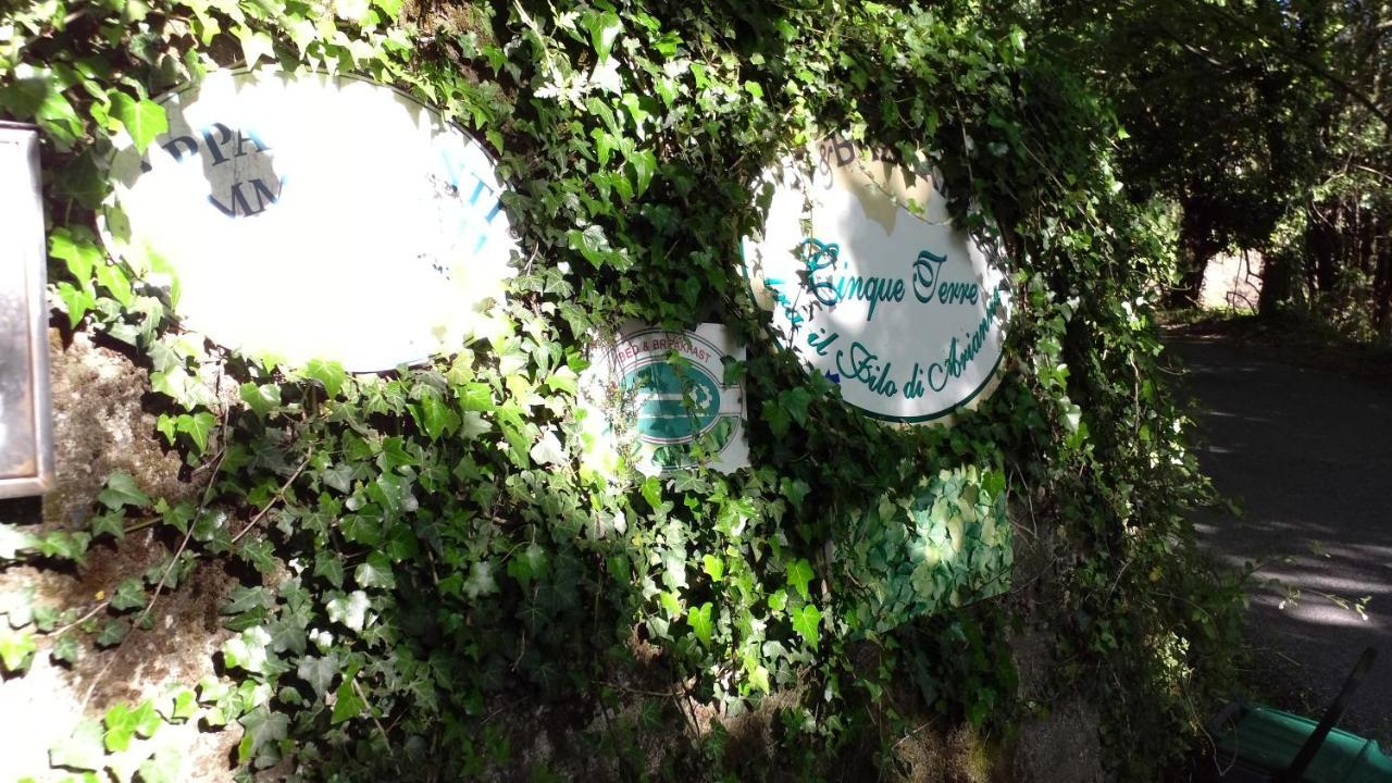 钦奎特雷阿里安娜住宿加早餐旅馆 日科德尔格尔福迪艾斯 外观 照片