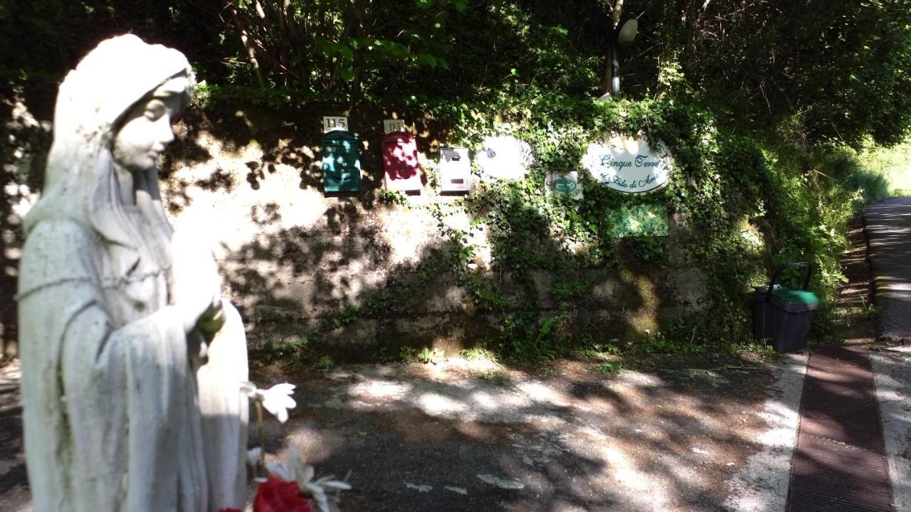 钦奎特雷阿里安娜住宿加早餐旅馆 日科德尔格尔福迪艾斯 外观 照片