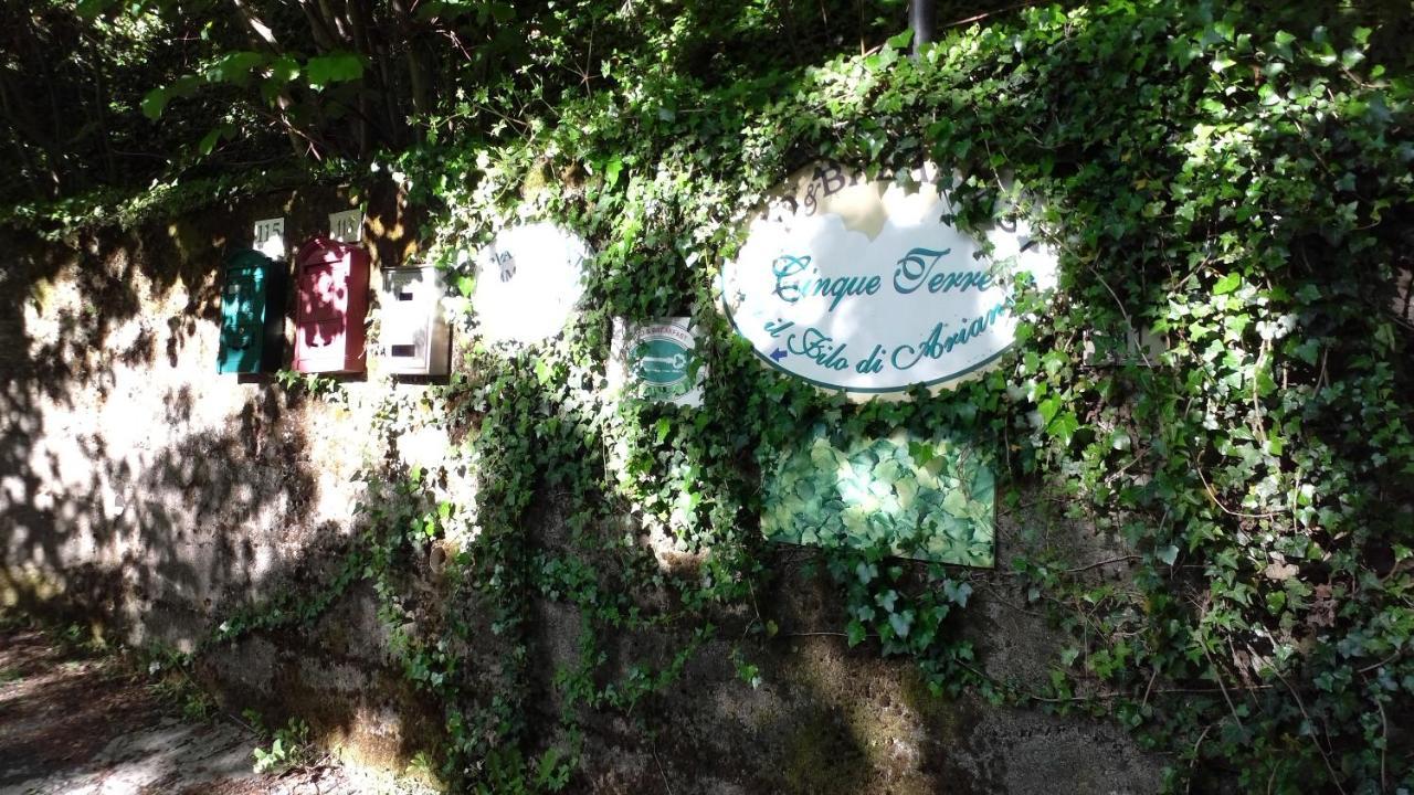 钦奎特雷阿里安娜住宿加早餐旅馆 日科德尔格尔福迪艾斯 外观 照片